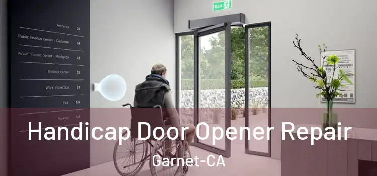  Handicap Door Opener Repair Garnet-CA